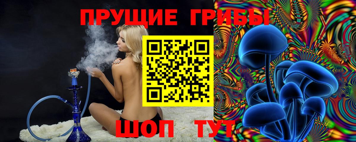 Саяногорск  Галлюциногенные грибы Psilocybe  Галлюциногенные грибы MAGIC MUSHROOMS  Вход с VPN 
